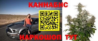 спиды Канаш