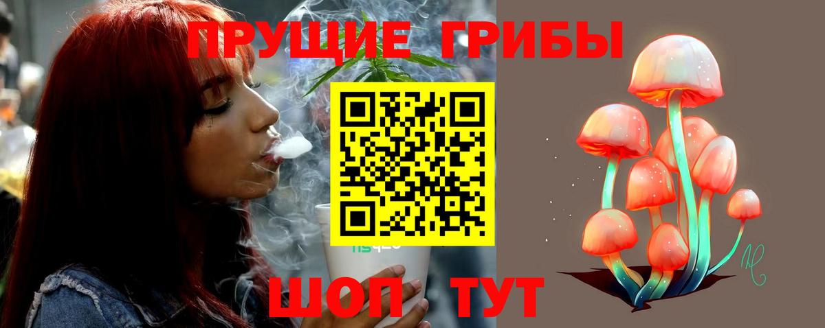 Псилоцибиновые грибы GOLDEN TEACHER  Вход с VPN  Котельники 